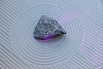 1504190383s.jpg